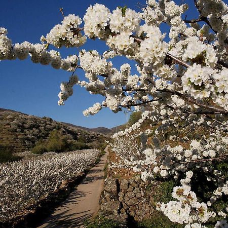 Casa Rural Arbequina-Piscina Natural A 100 Metros Casas del Monte Εξωτερικό φωτογραφία